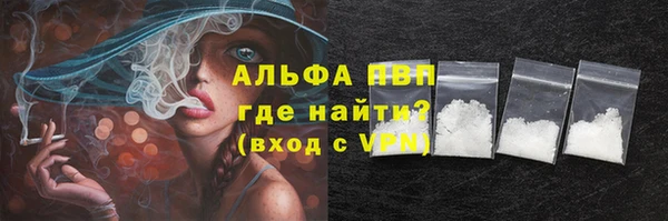 прущие грибы Инта