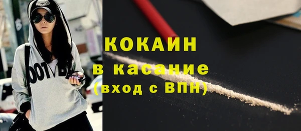 прущие грибы Инта