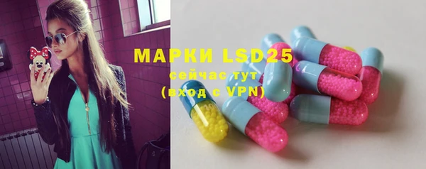 МДПВ Инсар