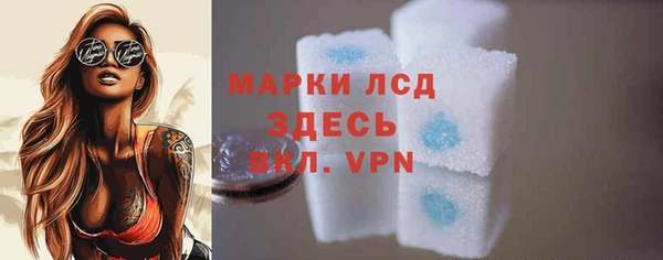 прущие грибы Инта