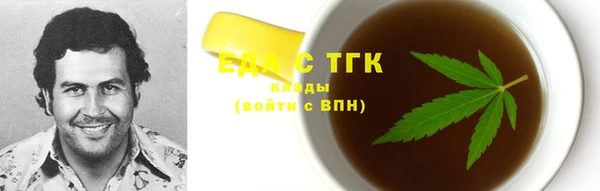 прущие грибы Инта