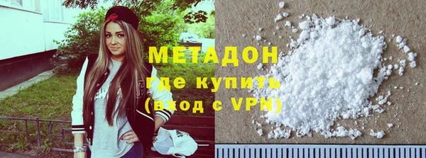 прущие грибы Инта