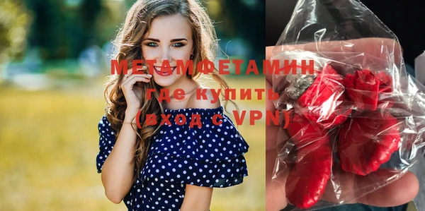 прущие грибы Инта