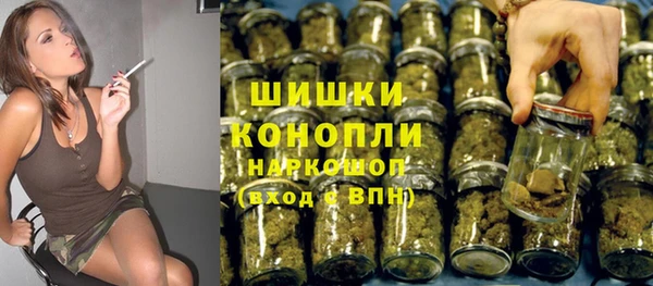 прущие грибы Инта