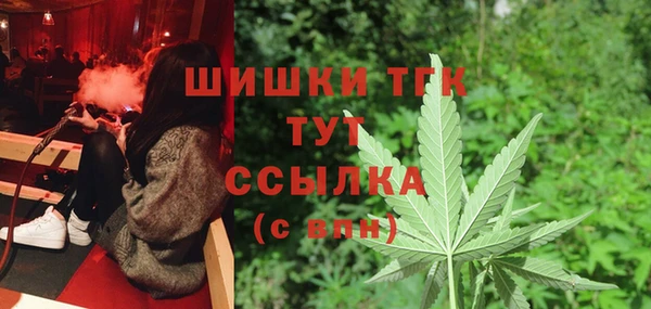 МДПВ Инсар