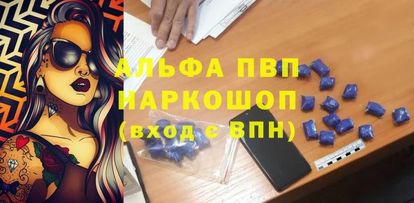 прущие грибы Инта
