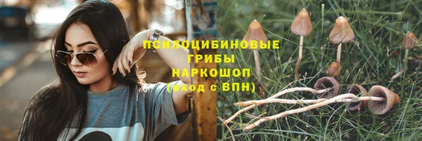 тгк Иннополис