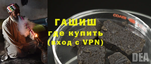 прущие грибы Инта