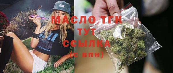 МДПВ Инсар