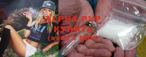 МДПВ Инсар