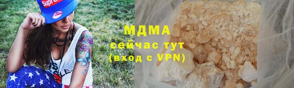 прущие грибы Инта