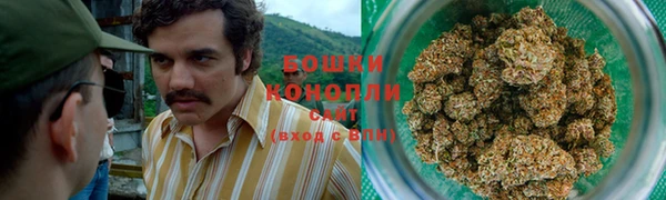 МДПВ Инсар