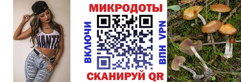 Купить где  Плавск  Псилоцибиновые грибы MAGIC MUSHROOMS 